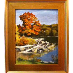 Fall at the Harbor