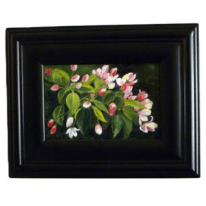 Apple Blossoms