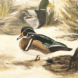 Wood Ducks. Greeting card 4.5 X 6.5 inches.