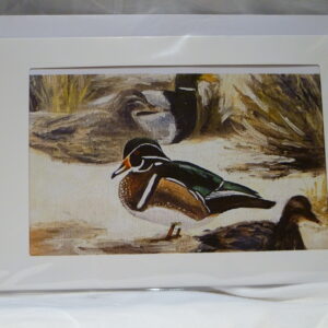 Wood Ducks. Greeting card 4.5 X 6.5 inches.